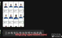 体育直播-过去五年里，意甲各支球队的投入资金排名和变化趋势是怎样的？的简单介绍